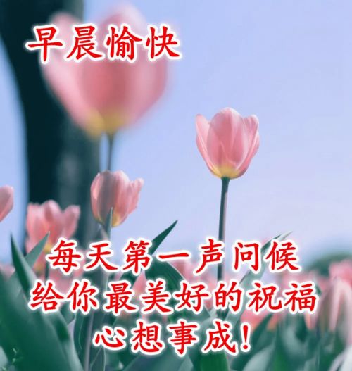微信早上好问候语大全2020,12张好看的早上好图片表情