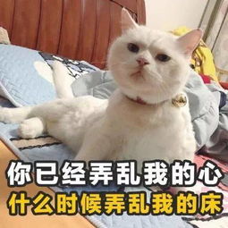 2018年最火的100个土味情话撩妹必备
