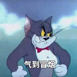 这是最全的猫和老鼠表情包快来抱走吧