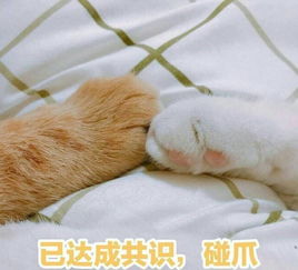 过分勤俭节约可以让人多反感