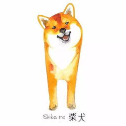 光知道表情,你知道doge是什么狗么
