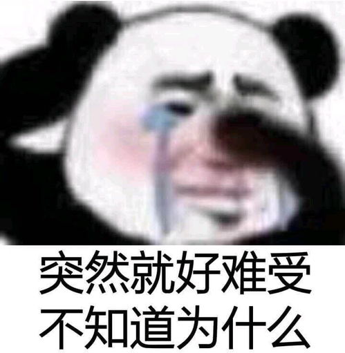 初次见面表情包表情