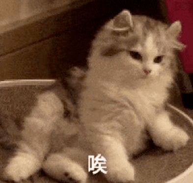 又一明星夫妇宣布离婚多少婚姻毁于这一点