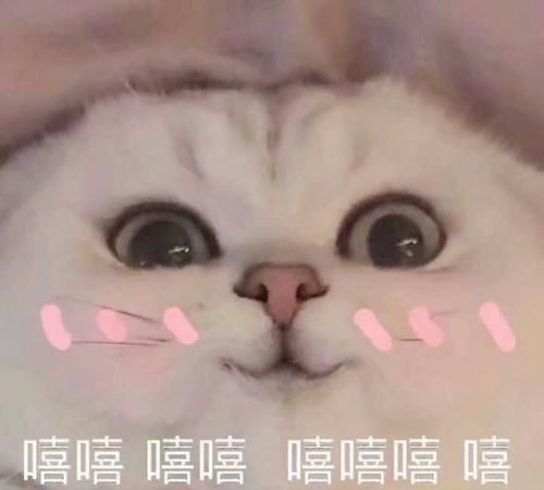 每日一笑快搂紧我,要不大风把我刮到别的老爷们儿家去