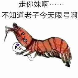 表情包界扛把子皮皮虾,我们走到底是个啥
