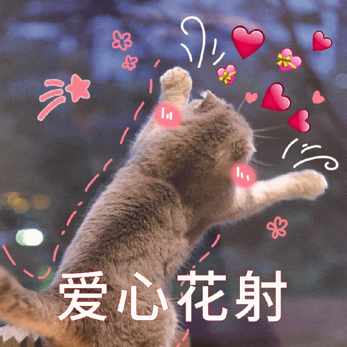 超萌的猫咪表情包你萌,你倒是发个自拍看看啊