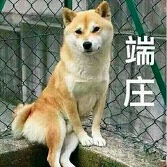 网课作弊是红线,疫情之下国外高校严抓不放