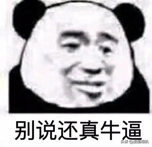 表情包我能有多骄傲,敲敲键盘打嘴泡