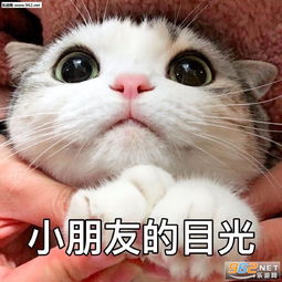 想知道男友在干嘛又不想表现太明显图片小朋友的目光表情包下载乐游网游戏下载
