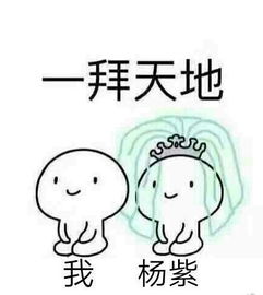 杨紫又出来卖萌了浮夸的表情魔性的笑声,给跪了