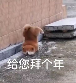 男生最招架不住的100张表情包太撩了,进来收图