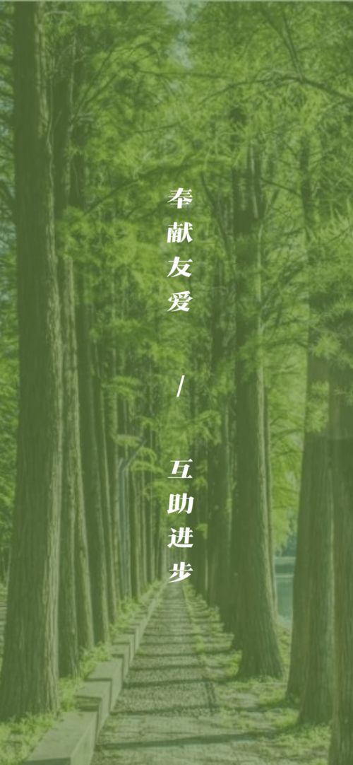 听着你这学期的壁纸我们承包了