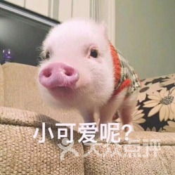 电话地址价格营业时间南海区粤菜团购