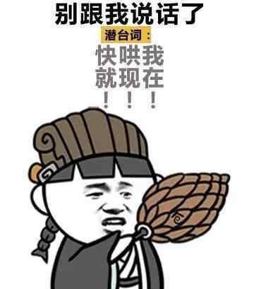 还有什么话要说表情包锤子