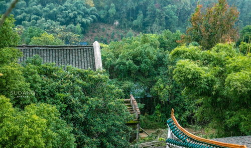 湖南的这座小城市,是中国风水最好的城市之一三塔锁穴眼