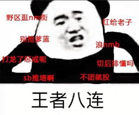 王者荣耀斗图表情包第161期素质八连表情包