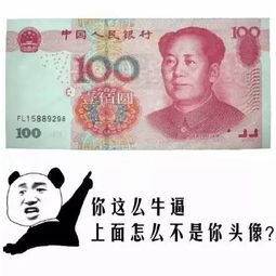 表情包我凭自己的本事借来的钱,为什么要还