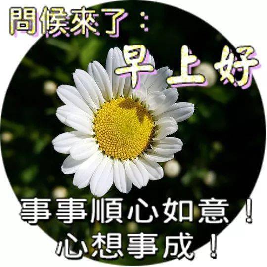 微信很暖心的早上好清晨祝福朋友温馨问候图片早晨好问候表情祝福图片