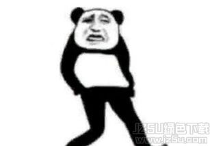 考试全套表情下载考试全套表情包1.0高清版jz5u绿色下载站