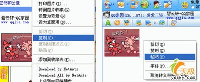 自定义qq表情使用方法完全图解