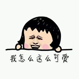 快开学了,你们学校有这种可以吃喝玩乐的集装箱吗