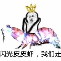 新梗皮皮虾我们走网络蹿红跨界表情包不知道你就out啦
