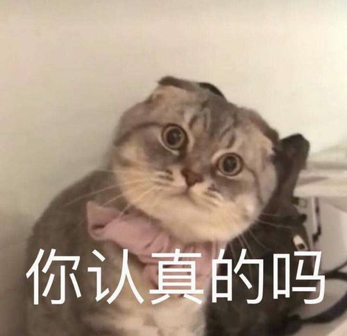天冷了,晚上睡觉冻醒了别忘了给舍友掀一下被子