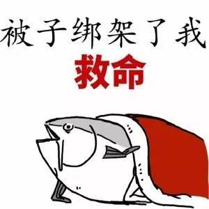 魔盘闯红灯记我用传说中血战不见血的月经盘闯了一次红灯