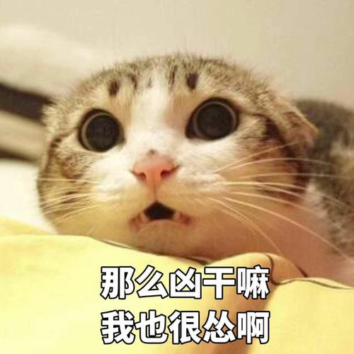 班主任工作