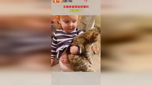 当猫咪被萌娃炫耀时,表情亮了