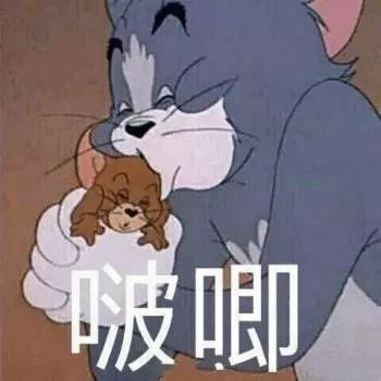 电电鼠表情包猫和老鼠