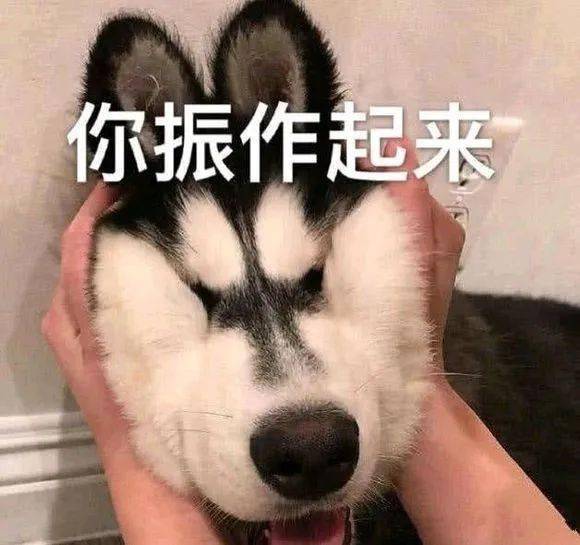 开工大吉20个好消息帮天津人拉满元气