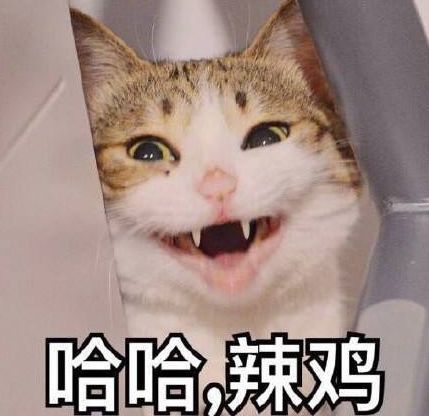 有你的照片表情包老得