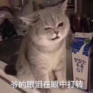 正在排便的表情包委屈
