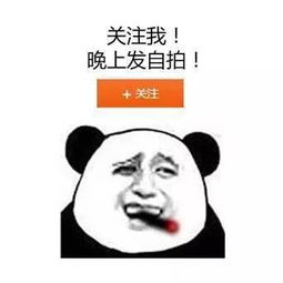 初春踏青拍出大片感扒一扒大师包包里的美妆神器