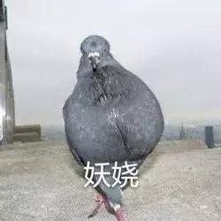 谁能想到这组沙雕图,其实是战争搞出来的黑科技