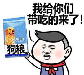 牙膏光信酱的表情包口臭