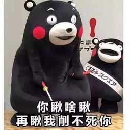 东北话就是这么牛掰啥方言一遇上东北话全白瞎