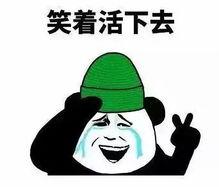 哪些业余爱好属于看起来比较低调其实相当费钱的