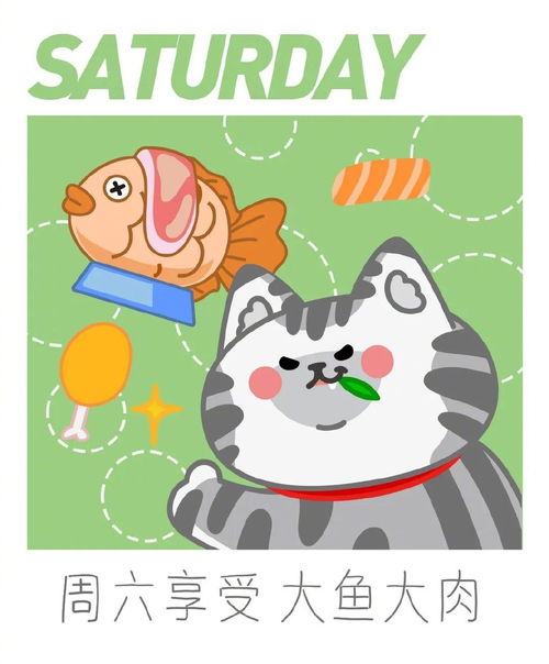 小财宝原创表情包一周打工喵第一弹