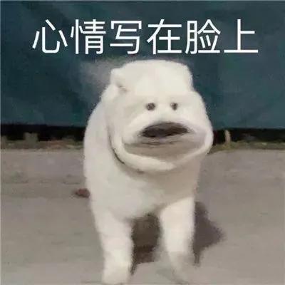 表达你的心情表情包聊天万能回复