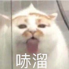 口水预警螺蛳粉冲上热搜,贵州不服粉太多派哪种对战呢