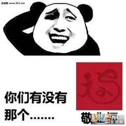 泼冷水卡通表情包小熊猫
