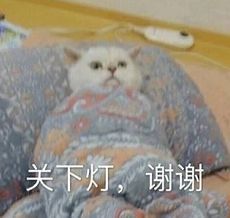 这届年轻人已经想好墓志铭了