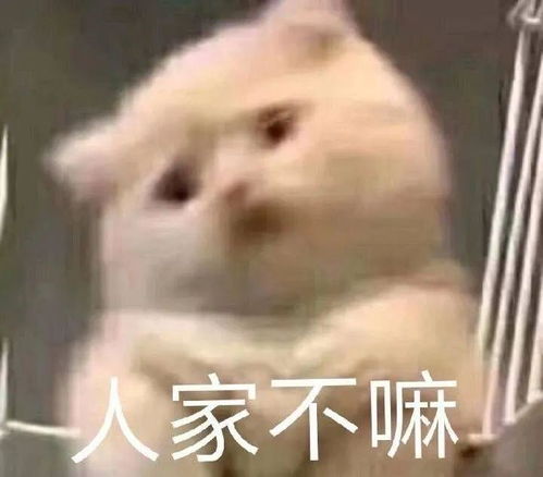 还有什么话要说表情包沙雕