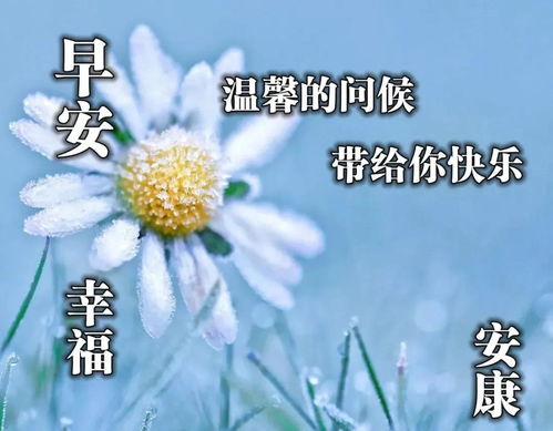 2022新版好看的早晨问候动态表情图片2022最新早上好动态表情图片带字