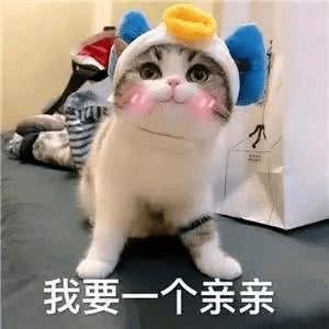 这届脱口秀大会,文案金句亮了