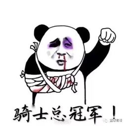 看到这个球,连骑蜜都齐声高喊湖人总冠军