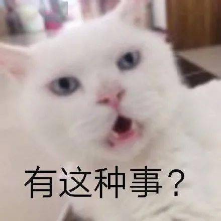 糊弄学必备表情包合集,怎么觉得都是我常用词