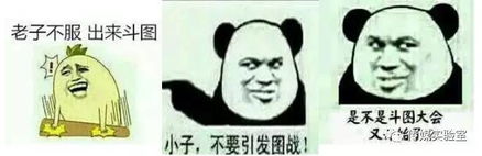 表情包编年史对主流文化的一种对抗式解读
